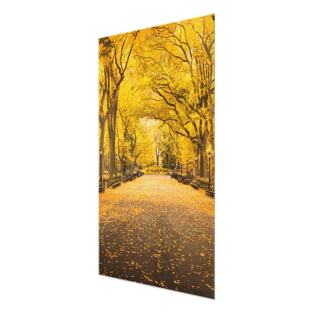 Glasbild - Herbst im Central Park - Hochformat 2:3