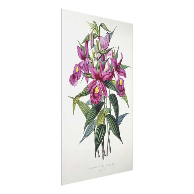 Glasbild Blumen Maxim Gauci - Orchidee I