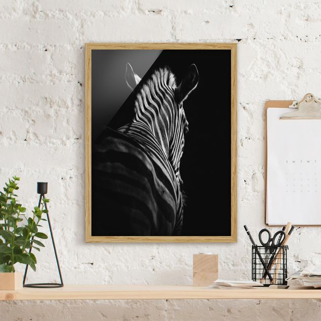 Bilder mit Rahmen Schwarz-Weiß Dunkle Zebra Silhouette