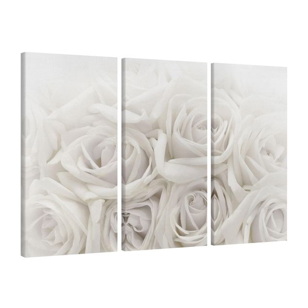 Wandbilder Wohnzimmer modern Weiße Rosen