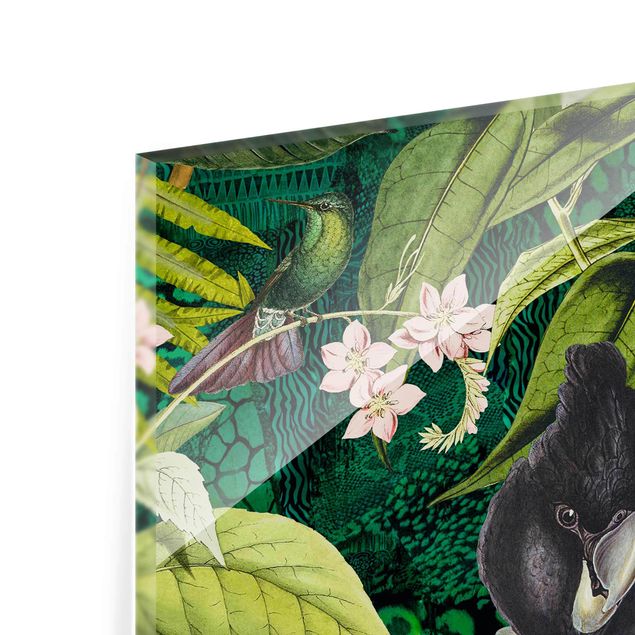 Glasbild - Bunte Collage - Kakadus im Dschungel - Quadrat 1:1
