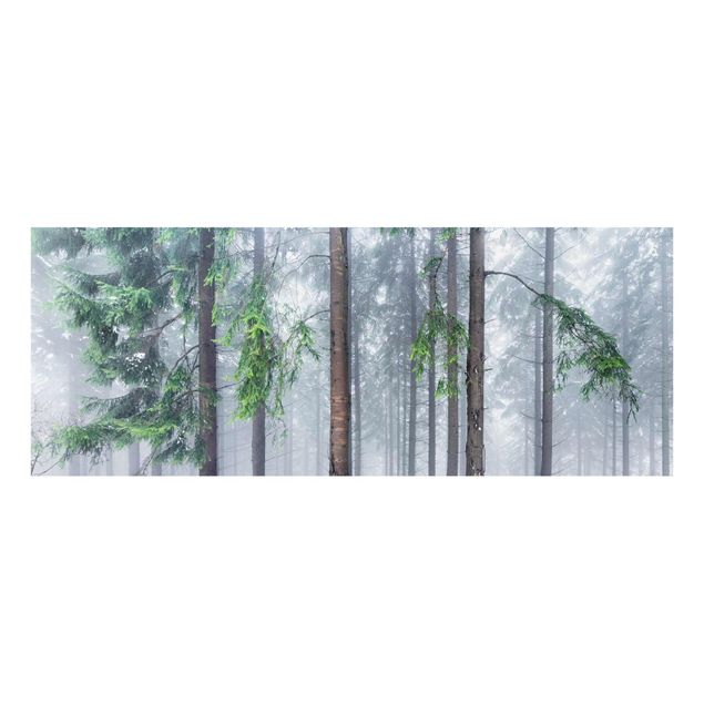 Glasbilder Nadelbäume im Winter