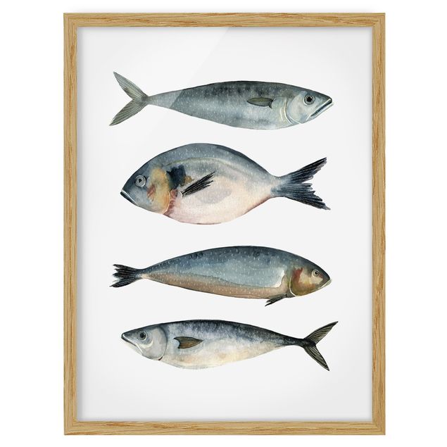 Wandbilder mit Rahmen Vier Fische in Aquarell II