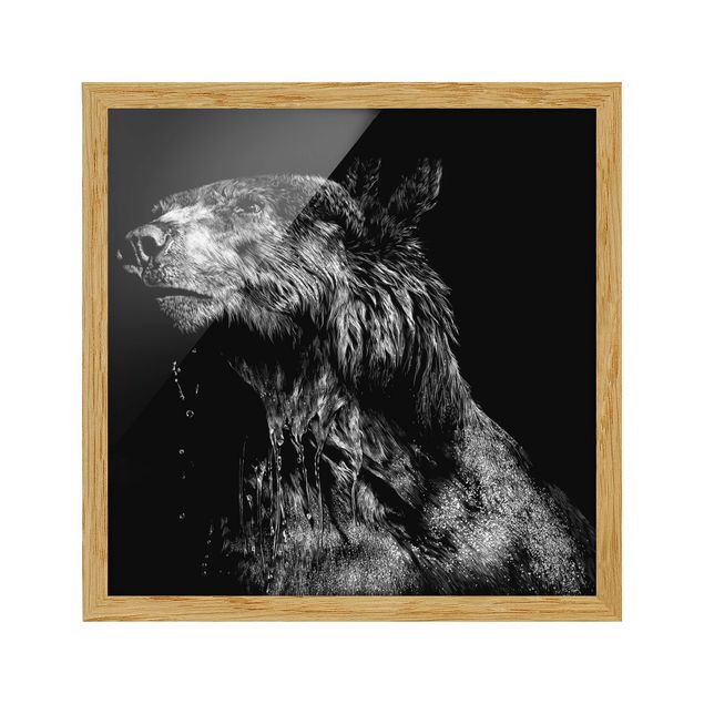 Bilder mit Rahmen abstrakt Bär vor Schwarz