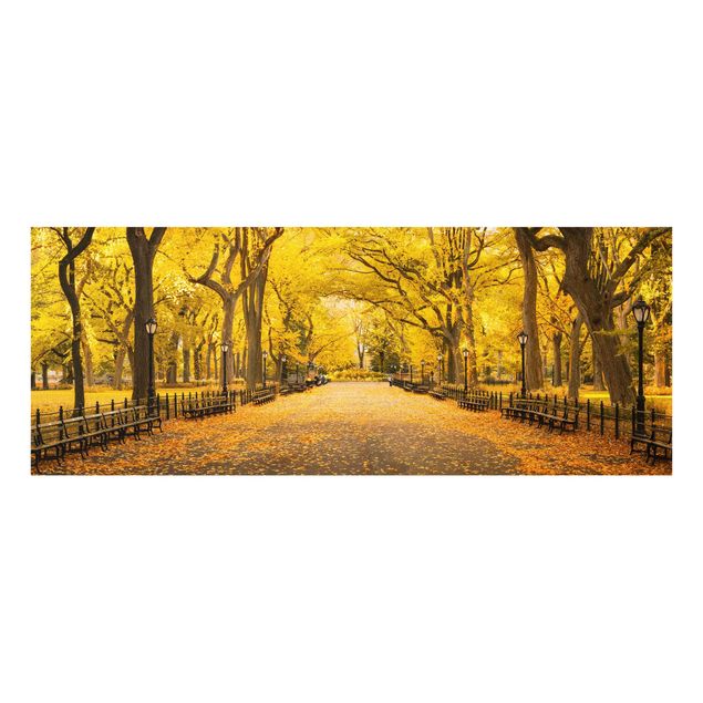 Glasbild - Herbst im Central Park - Panorama