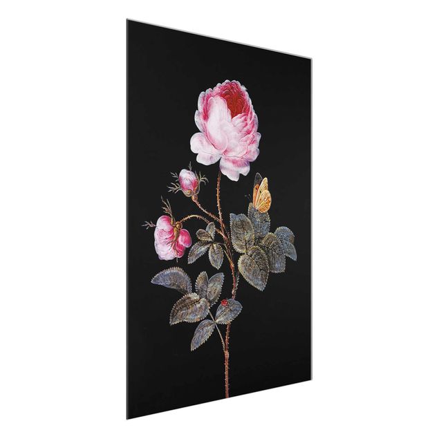 Glasbild Blumen Barbara Regina Dietzsch - Die hundertblättrige Rose