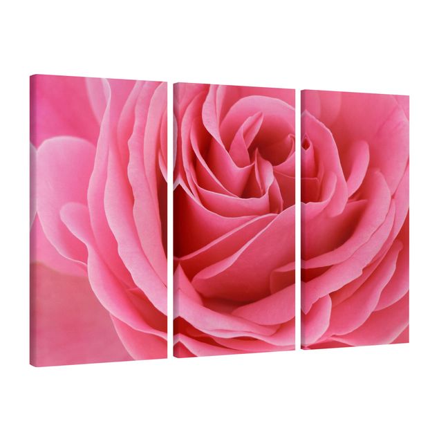Wandbilder Wohnzimmer modern Lustful Pink Rose