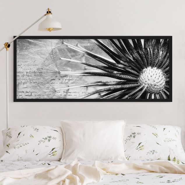 Schwarz-Weiß Bilder mit Rahmen Pusteblume Schwarz & Weiß
