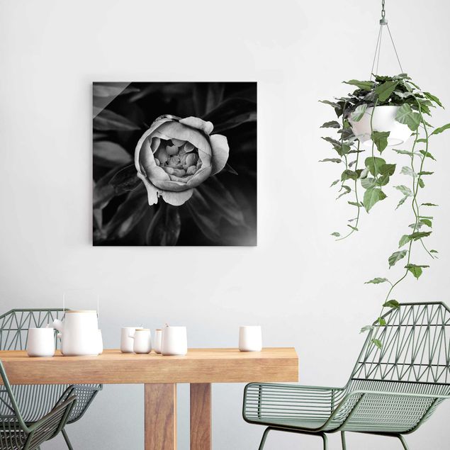 Glasbild Rose Pfingstrosenblüte vor Blättern Schwarz Weiß