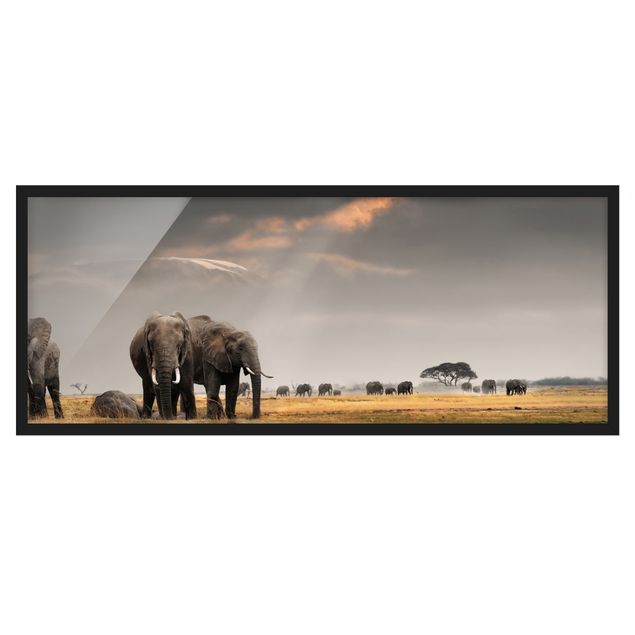 Bilder mit Rahmen Elefanten der Savanne