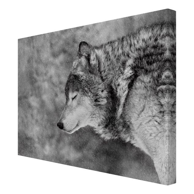 Moderne Leinwandbilder Wohnzimmer Winter Wolf