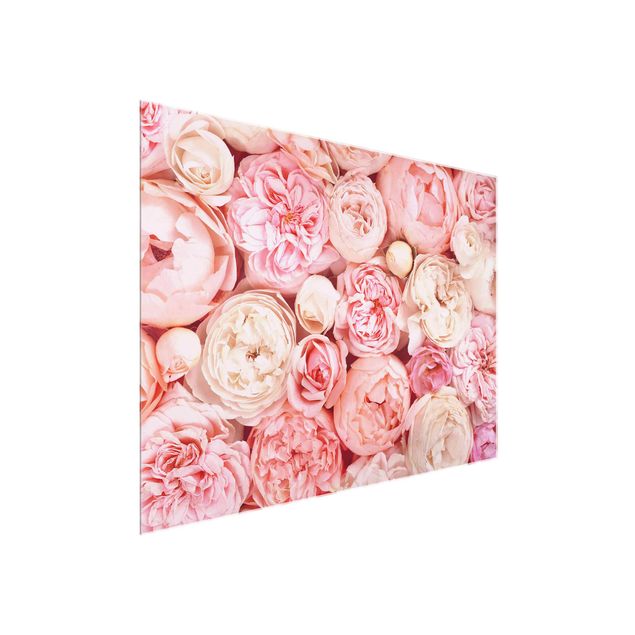 Glasbild Blumen Rosen Rosé Koralle Shabby