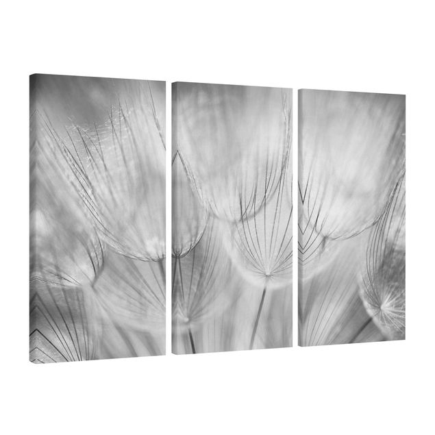 Leinwand Schwarz-Weiß Pusteblumen Makroaufnahme in schwarz weiß