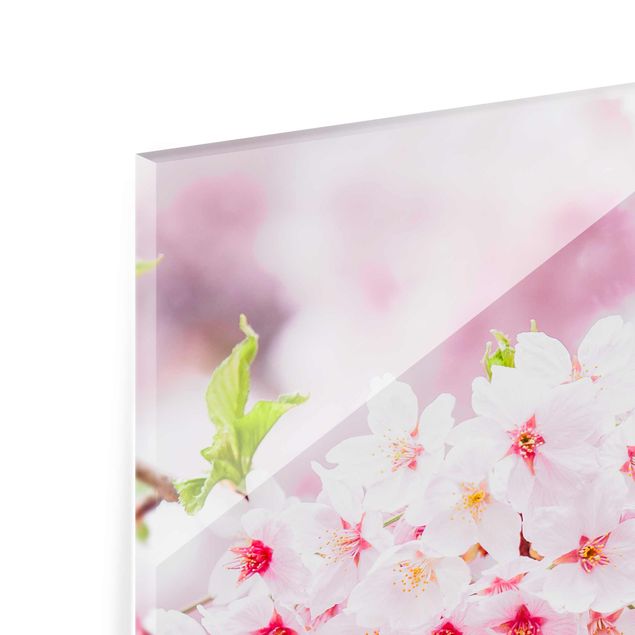 Glasbild - Japanische Kirschblüten - Hochformat 3:4