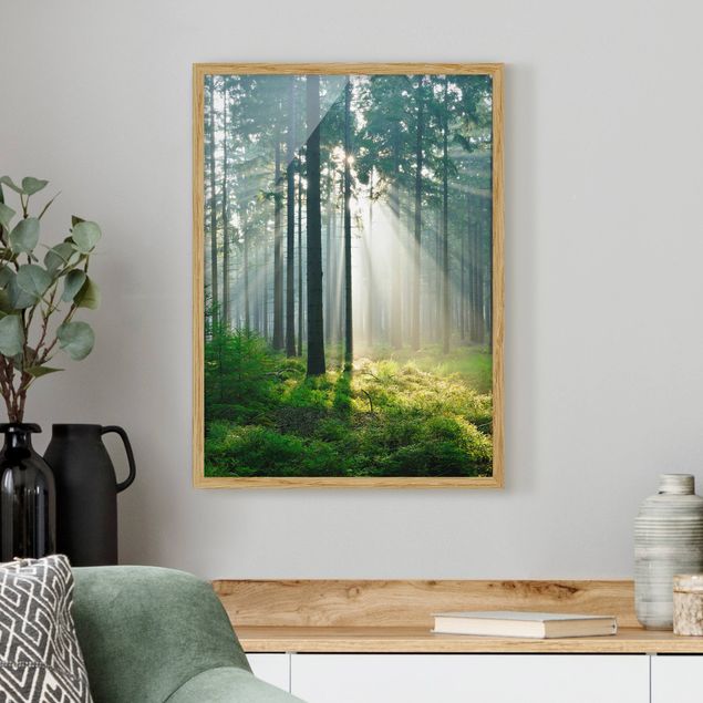 Gerahmte Bilder Natur Enlightened Forest