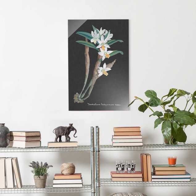 Wandbilder Glas XXL Weiße Orchidee auf Leinen I
