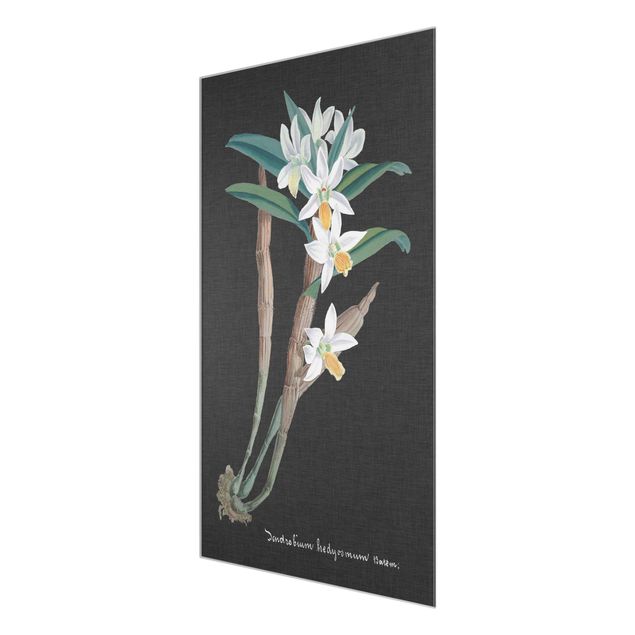 Bilder für die Wand Weiße Orchidee auf Leinen I