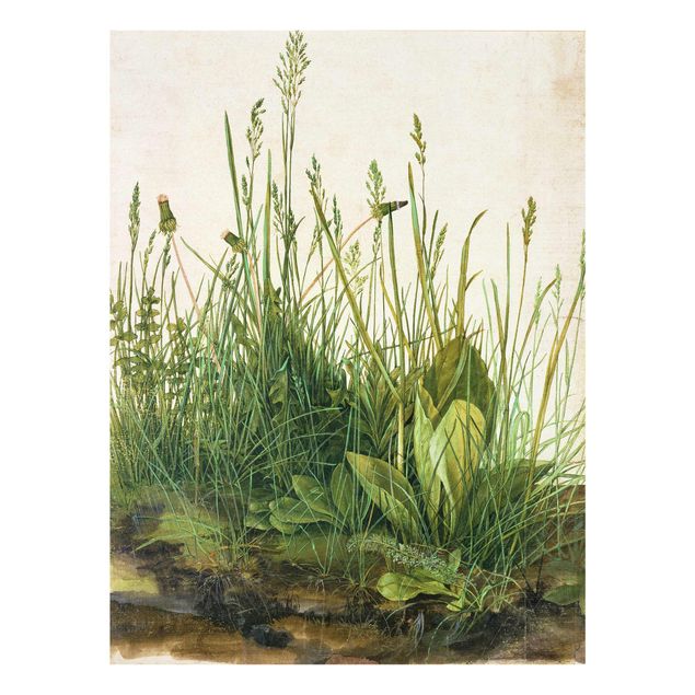 Glasbild Grün Albrecht Dürer - Das große Rasenstück