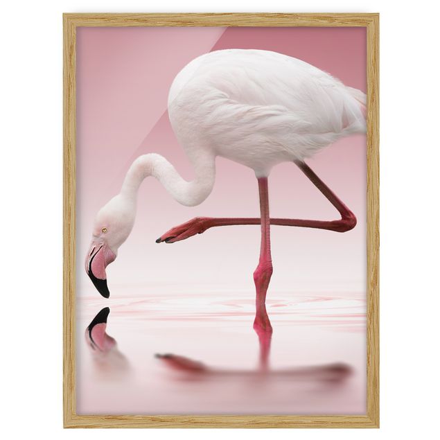 Bild mit Rahmen - Flamingo Dance - Hochformat 3:4