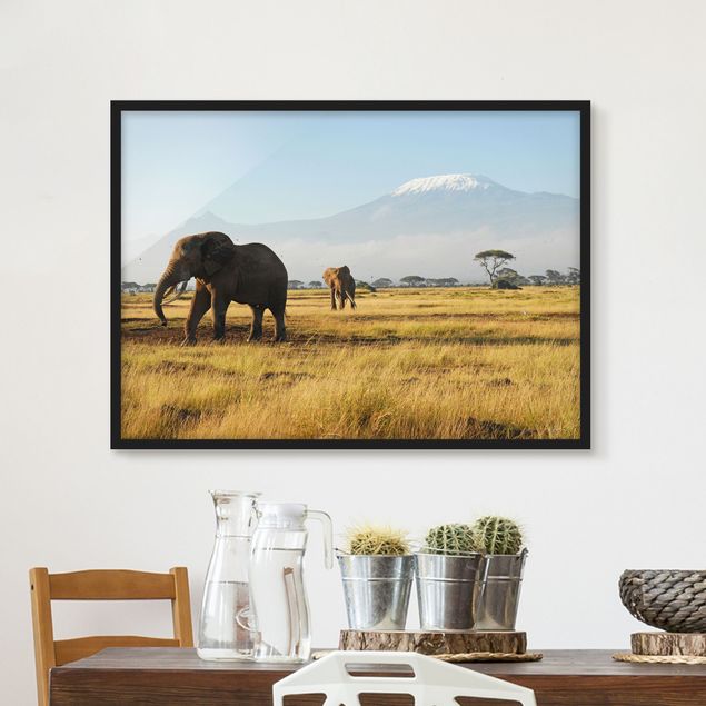 Wandbilder abstrakt Elefanten vor dem Kilimanjaro in Kenia