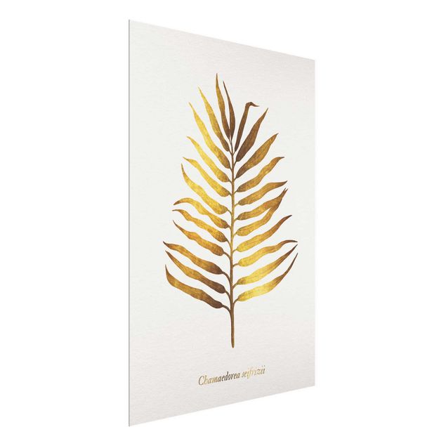 Natur Glasbilder Gold - Palmenblatt II