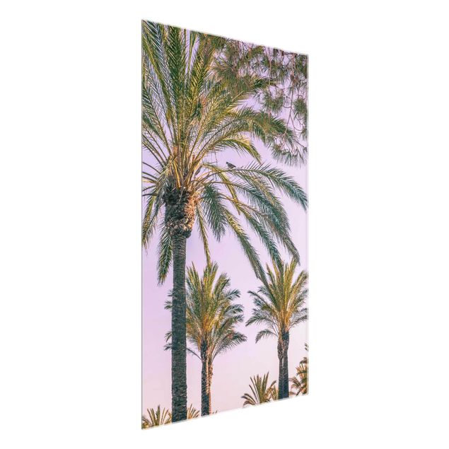 Natur Glasbilder Palmen im Sonnenuntergang