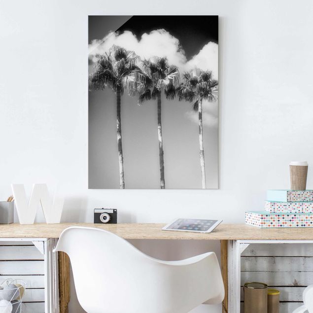 Glasbilder Pflanzen Palmen vor Himmel Schwarz-Weiß