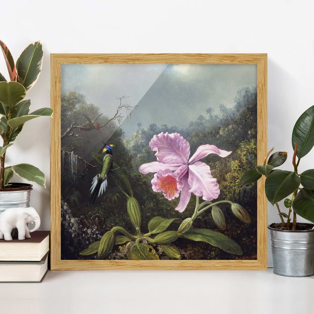 Wandbilder Tiere Martin Johnson Heade - Stillleben mit Orchidee und zwei Kolibris
