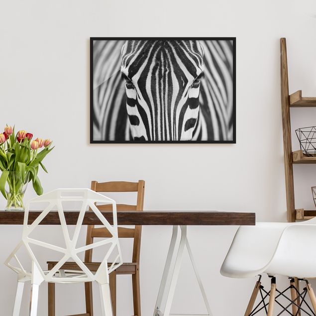 Bilder mit Rahmen Schwarz-Weiß Zebra Look