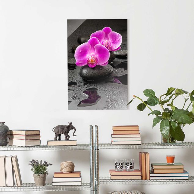 Wandbilder Glas XXL Pinke Orchideenblüten auf Steinen mit Tropfen