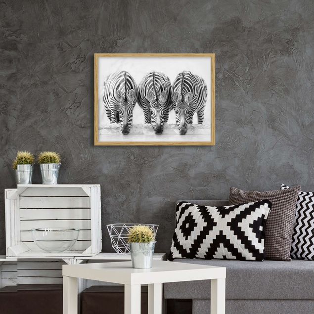 Schöne Wandbilder Zebra Trio schwarz-weiß