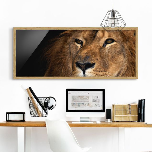 Schöne Wandbilder Löwenblick
