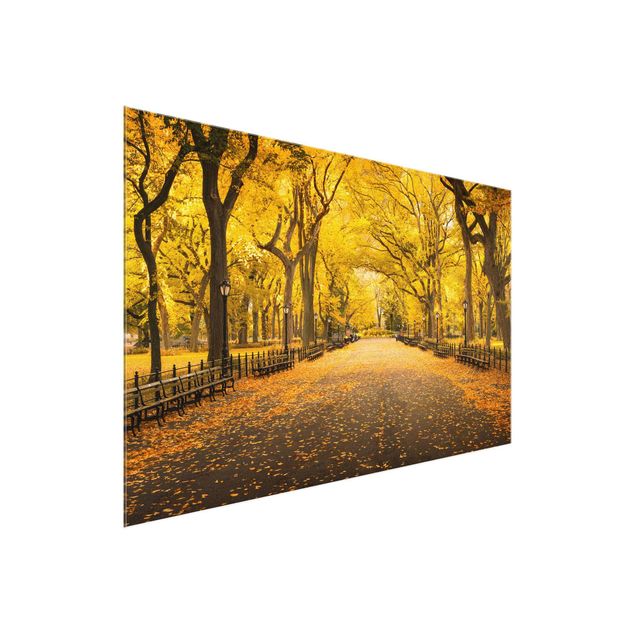 Glasbild - Herbst im Central Park - Querformat 3:2