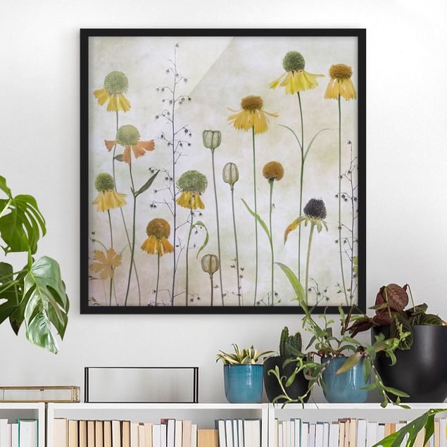 Blumen Bilder mit Rahmen Zarte Helenium Blüten