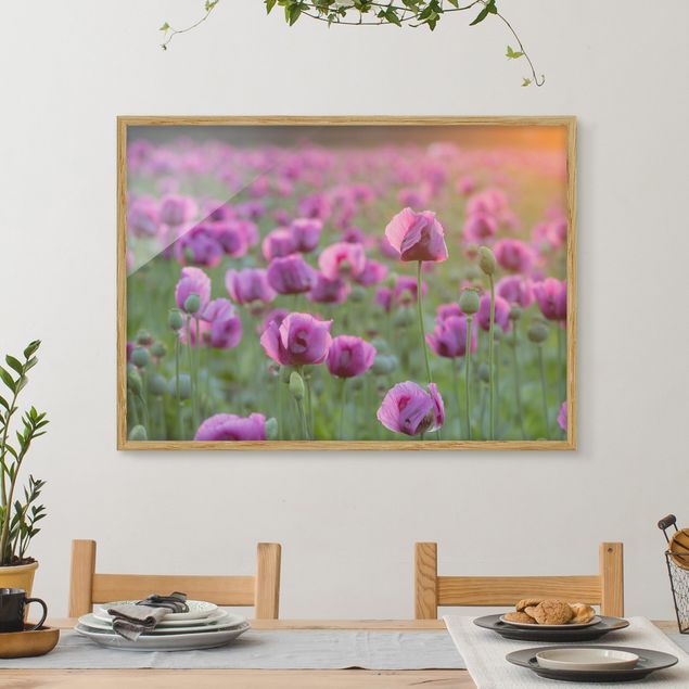 Bilder mit Rahmen Blumen Violette Schlafmohn Blumenwiese im Frühling