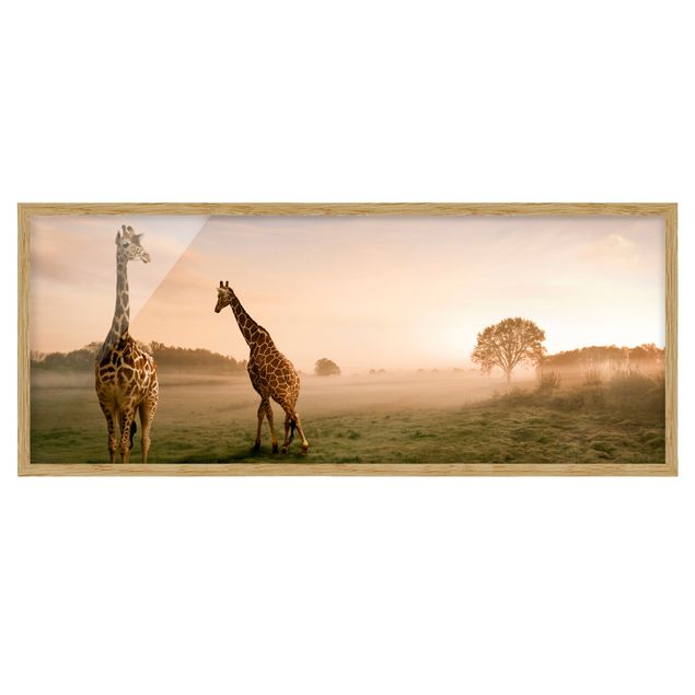 Bilder mit Rahmen Surreal Giraffes