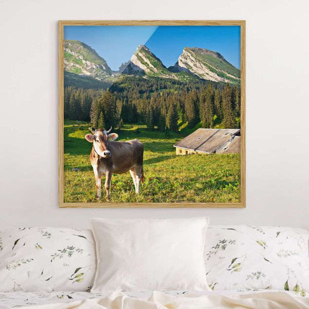 Natur Bilder mit Rahmen Schweizer Almwiese mit Kuh