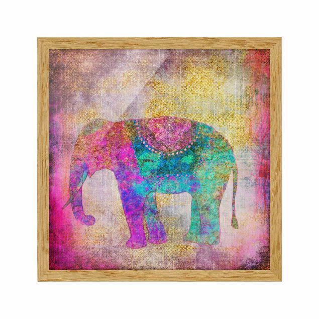 Bild mit Rahmen - Bunte Collage - Indischer Elefant - Quadrat 1:1