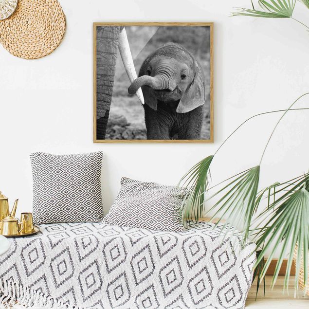 Schwarz-Weiß Bilder mit Rahmen Elefantenbaby
