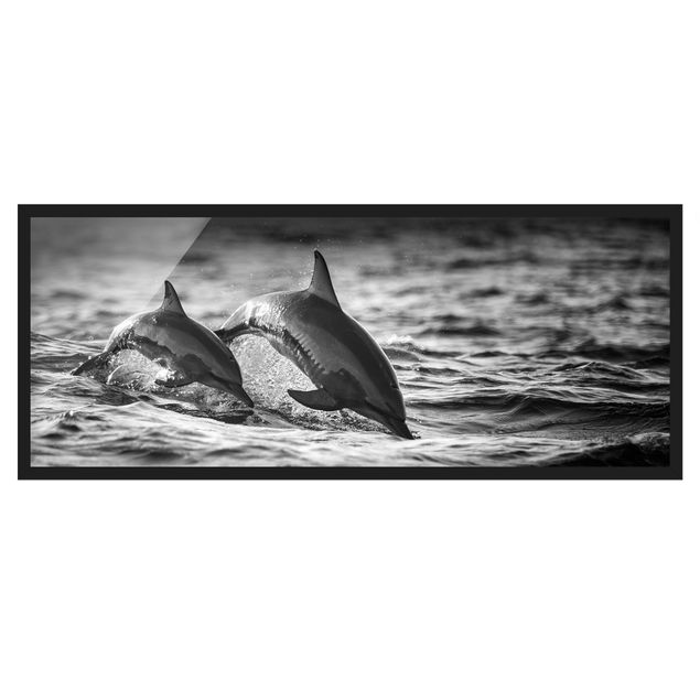 Bilder mit Rahmen Zwei springende Delfine