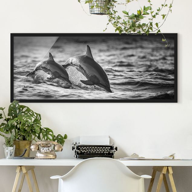 Schwarz-Weiß Bilder mit Rahmen Zwei springende Delfine