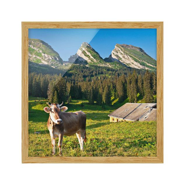Wandbilder mit Rahmen Schweizer Almwiese mit Kuh