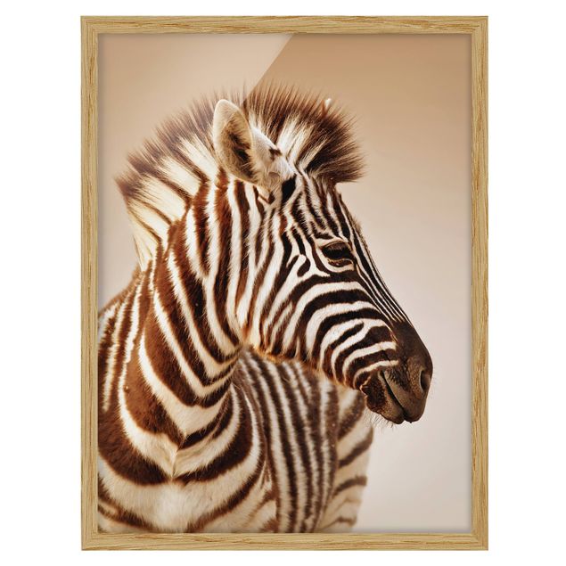 Bild mit Rahmen - Zebra Baby Portrait - Hochformat 3:4