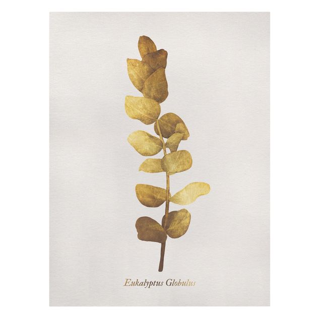 Wandbilder Gold - Eukalyptus
