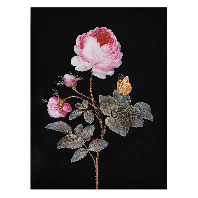 Wandbilder Wohnzimmer modern Barbara Regina Dietzsch - Die hundertblättrige Rose
