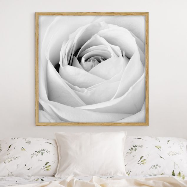Schwarz-Weiß Bilder mit Rahmen Close Up Rose