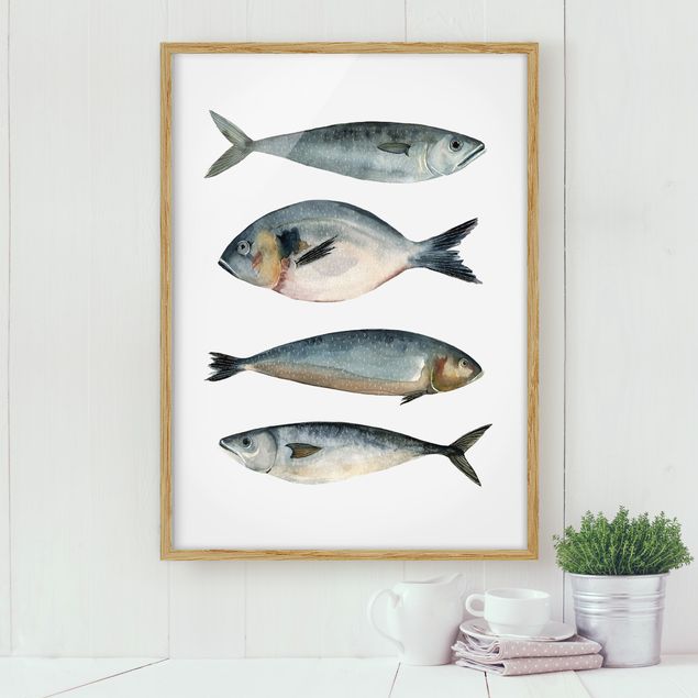 Wandbilder Tiere Vier Fische in Aquarell II