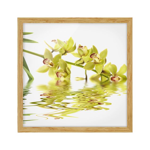 Bild mit Rahmen - Elegant Orchid Waters - Quadrat 1:1