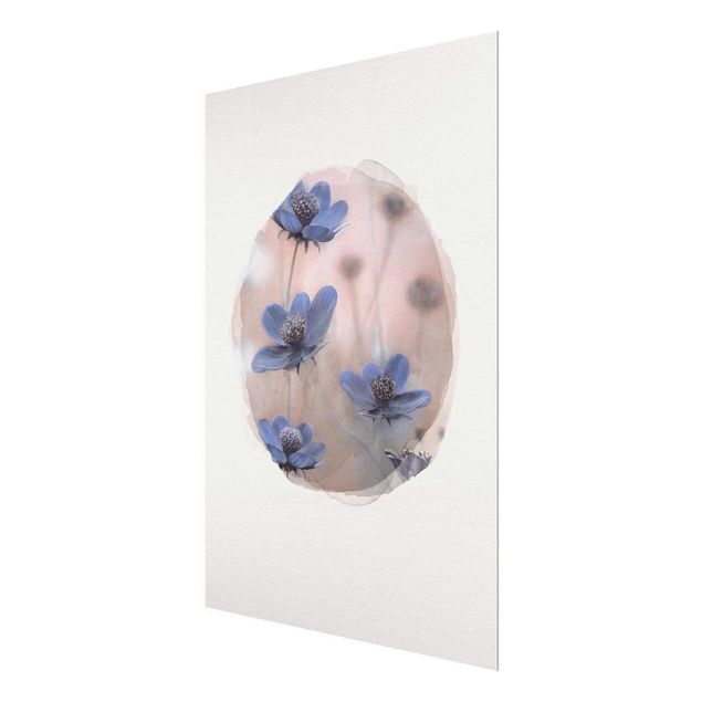 Glas Wandbilder Wasserfarben - Blaue Kosmeen