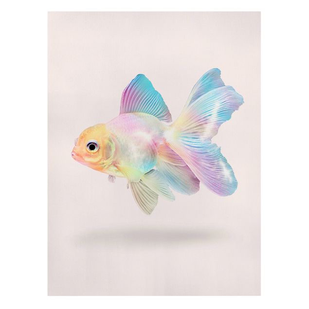 Leinwandbilder Tier Fisch in Pastell